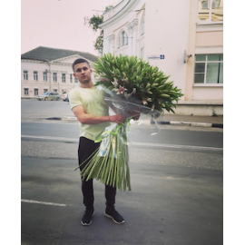 51 розовая лилия